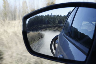 Reflection of trees on side-view mirror