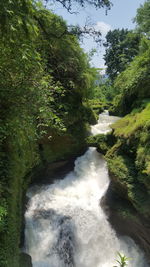 Scenic view of waterfall in forest