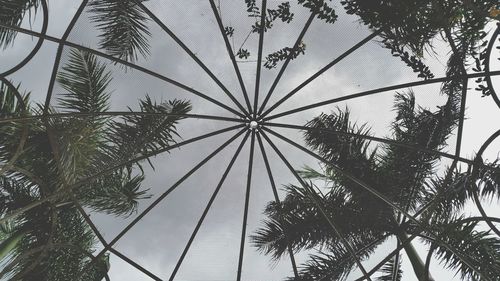 Low angle view of trees