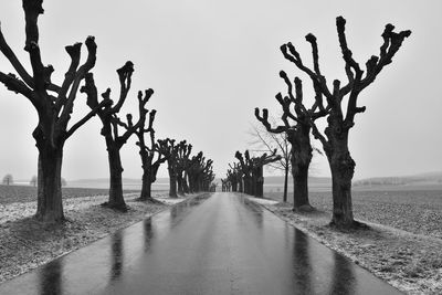 Bare trees by road against clear sky