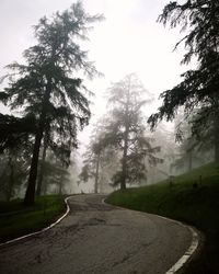 Empty road by trees against sky