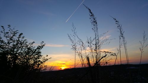 Silhouette of landscape at sunset