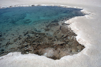 Freshwater spring in salt desert