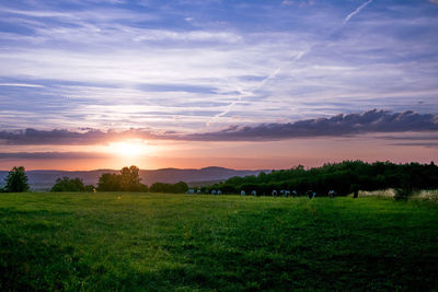 Scenic view of landscape against cloudy sky