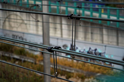 Close-up of railroad track on railing