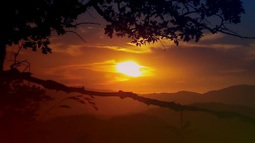 Silhouette branches against cloudy sky during sunset