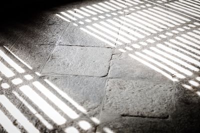 Shadow of trees on tiled floor