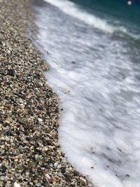 High angle view of pebble beach