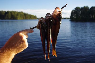 Midsection of person fish by lake