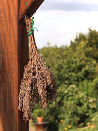 Close-up of tied hanging on tree