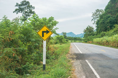 Road sign against trees