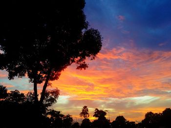 Silhouette of trees at sunset