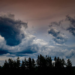 Low angle view of silhouette trees against sky during sunset