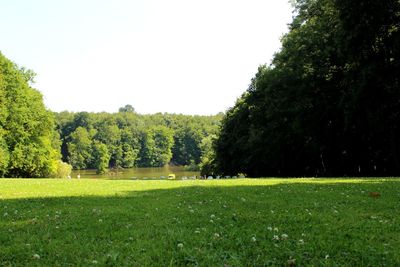 Scenic view of field against clear sky