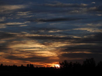 Silhouette trees against dramatic sky during sunset