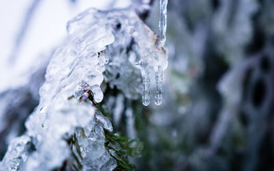 Close-up of ice crystals