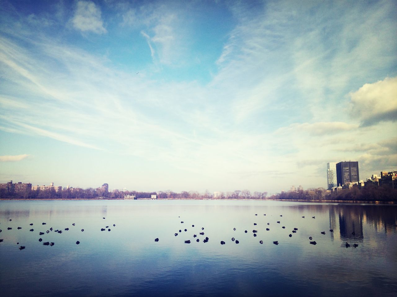 bird, animal themes, animals in the wild, water, wildlife, flying, sky, waterfront, flock of birds, built structure, lake, architecture, reflection, building exterior, river, cloud - sky, nature, medium group of animals, duck