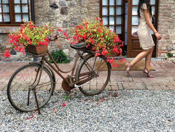 Low section of woman with bicycle on flowering plants