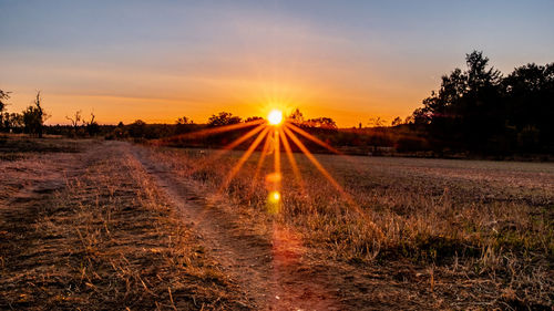 Scenic view of field against sky during sunset