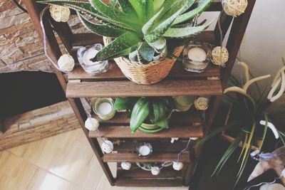 High angle view of potted plant on table at home