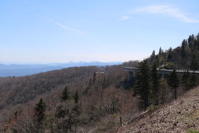 Scenic view of forest against sky