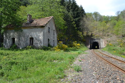 Old ruin amidst trees and plants on field