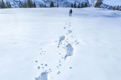Rear view of male hiker on snow