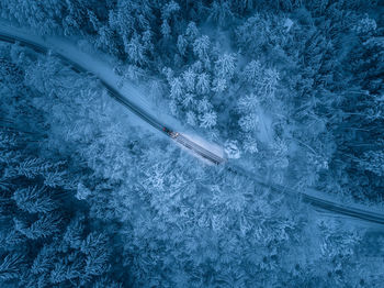 Lonely snow plow truck that drives though a winter forest in the evening