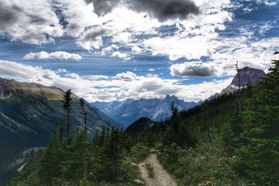 Iceline trail, yoho national park, bc, canada