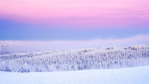 Scenic view of snow field against sky during sunset