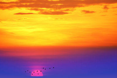Low angle view of birds flying in sky