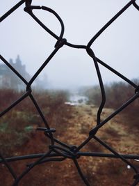 Close-up of chainlink fence