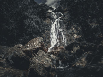 Scenic view of waterfall in forest