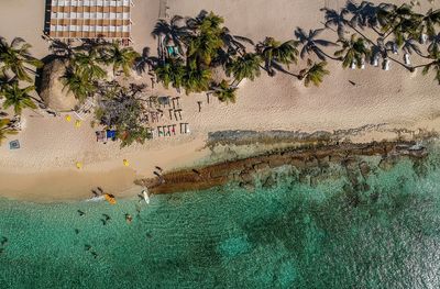 High angle view of plants on beach