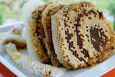 Close-up of honeycomb in plate