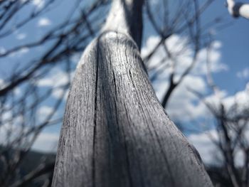 Low angle view of bare tree against sky