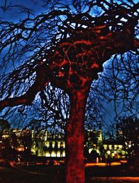 Low angle view of bare trees against sky