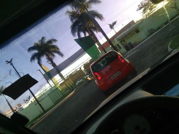 Palm trees seen through car windshield