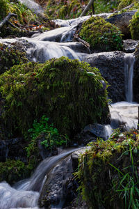 Stream flowing through rocks in forest