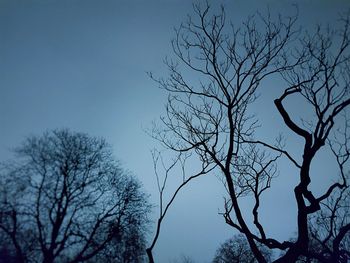 Low angle view of bare tree against clear blue sky