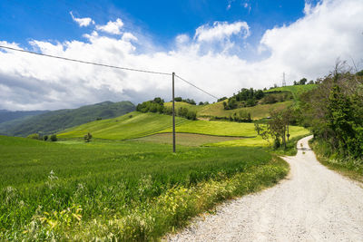 Green cultivated hills of romagna