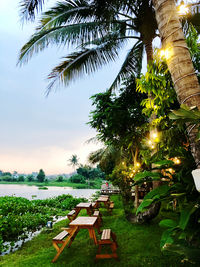 Scenic view of palm trees against sky