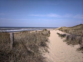 Scenic view of beach against sky