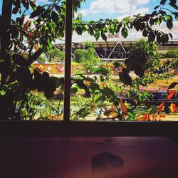 Built structure with trees in background