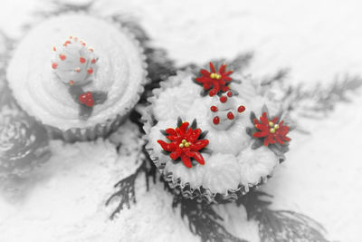 Close-up of white flowers