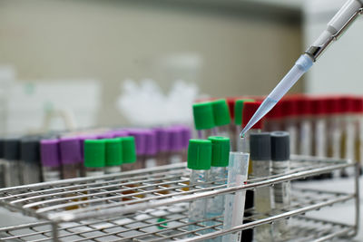 Close-up of test tubes in rack