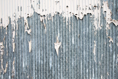 Close-up of wooden plank