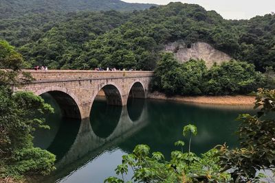 Arch bridge over river amidst trees against sky