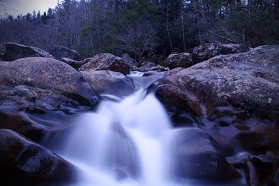 Scenic view of waterfall in forest