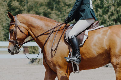 Low section of person riding horse